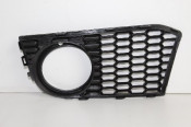 BMW  F10 SPORT BUMPER GRILLE FRONT OUTER LEFT HAND SIDE